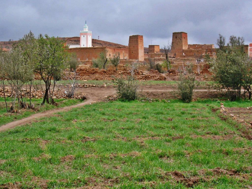 Le village d'Imgoun, dans l'Anti Atlas marocain vu des champs de safran