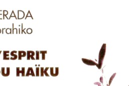 « L’esprit du Haïku » de TERADA Torahiko (note de lecture)