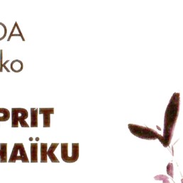 « L’esprit du Haïku » de TERADA Torahiko (note de lecture)
