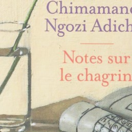 « Notes sur le chagrin » de Chimamanda NGOZI ADICHIE