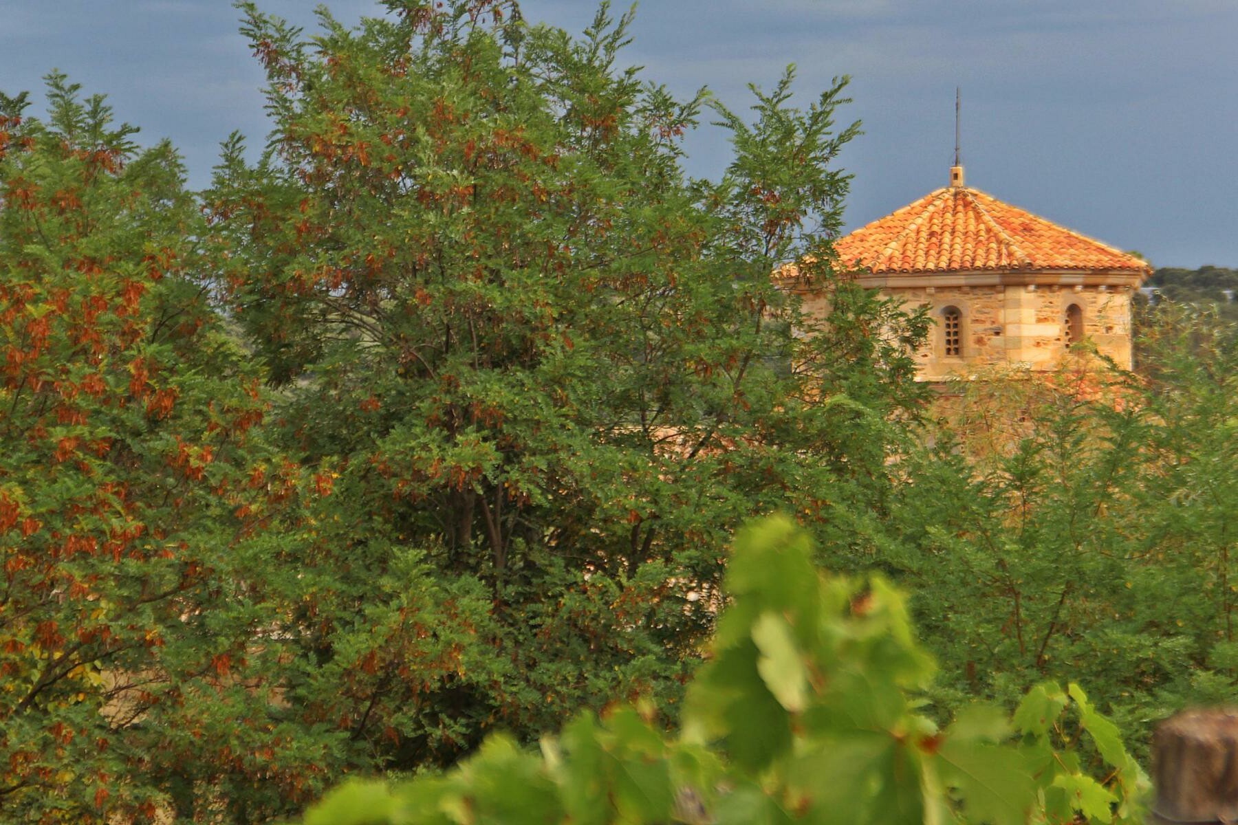 Solan : foi - agroécologie - frugalité - Jacques Ould Aoudia