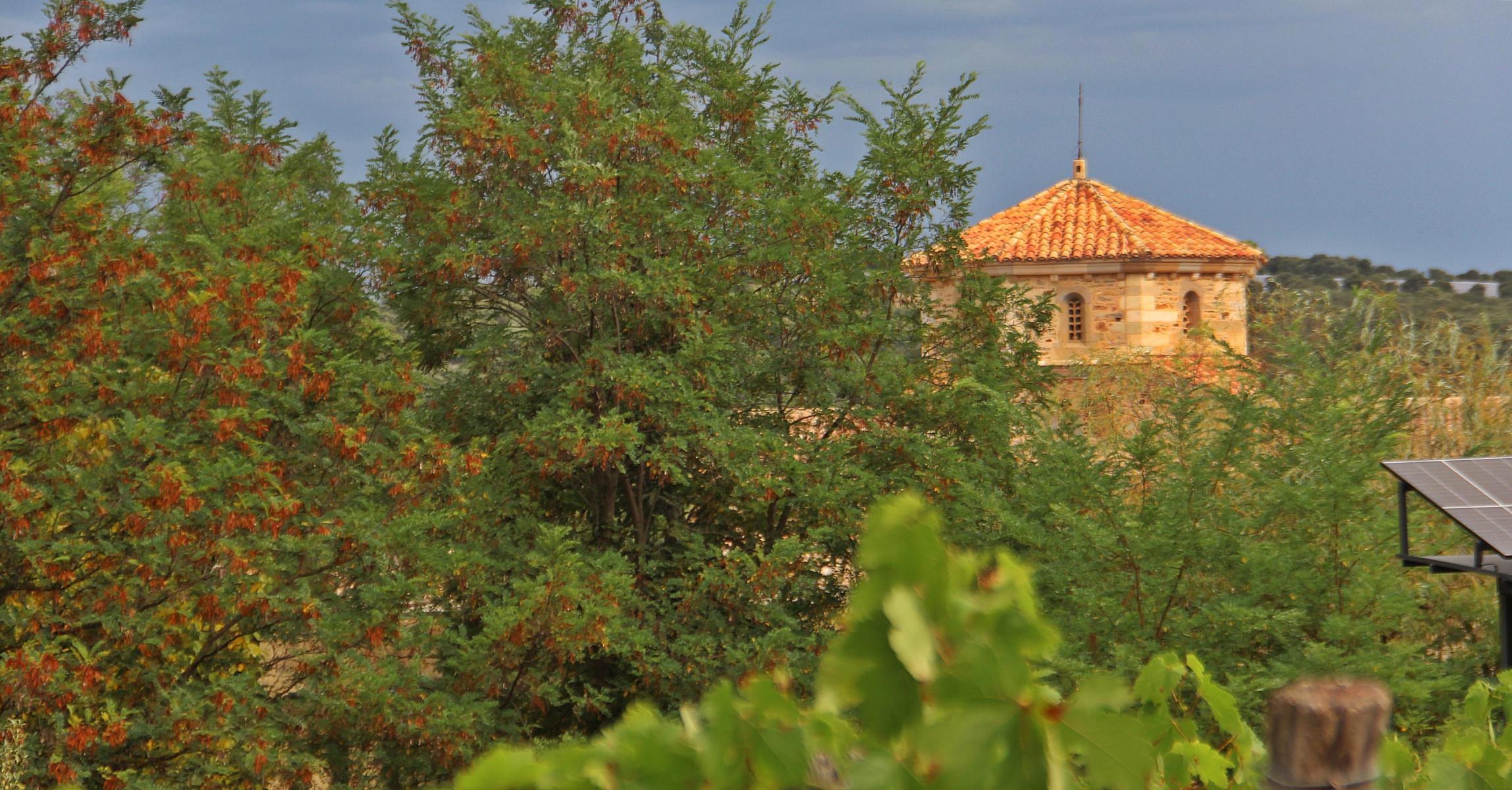 Solan : foi - agroécologie - frugalité - Jacques Ould Aoudia