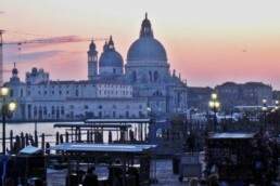 « Le parfum des fleurs la nuit » de Leila SLIMANI