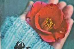 « Le restaurant de l’amour retrouvé » de OGAWA Ito (note de lecture)
