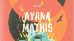 « Les égarés » de Ayana MATHIS (note de lecture)