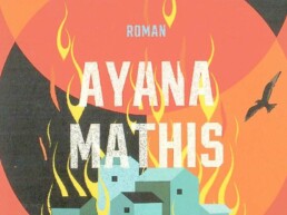 « Les égarés » de Ayana MATHIS (note de lecture)