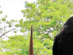 L’IA. Le corbeau et le renard