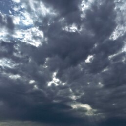 Sur la « repentance » et les rapports Sud-Nord