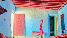 « La nuit nous emportera » de Mahi BINEBINE (note de lecture)