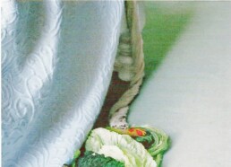 « L’usage de la photo » d’Annie ERNAUX et Marc MARIE (note de lecture)