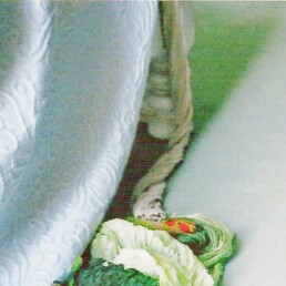 « L’usage de la photo » d’Annie ERNAUX et Marc MARIE (note de lecture)