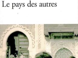 « Le pays des autres » 1/3 - Leïla SLIMANI (note de lecture)