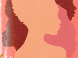 « L’inventaire des rêves » de Chimamanda Ngozi ADICHIE