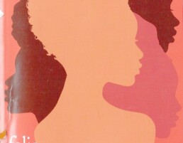 « L’inventaire des rêves » de Chimamanda Ngozi ADICHIE