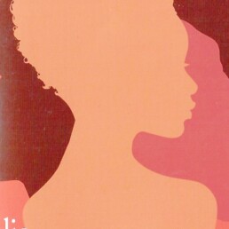 « L’inventaire des rêves » de Chimamanda Ngozi ADICHIE