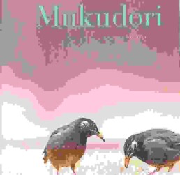 « Mukudori » de Aki SHIMAZAKI (note de lecture)